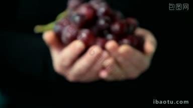 女人的手拿着一个漂亮的新鲜的红葡萄在一个<strong>黑色背景</strong>的dof